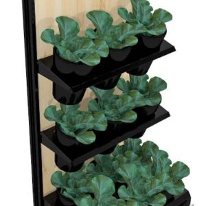 Spinach Display Stand